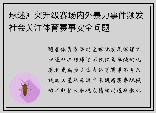 球迷冲突升级赛场内外暴力事件频发社会关注体育赛事安全问题